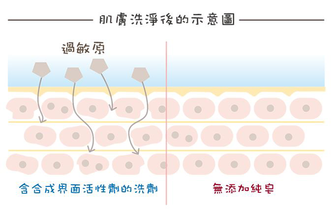 愛樂寶 arau  無添加 界面活性劑 敏感肌膚 過敏
