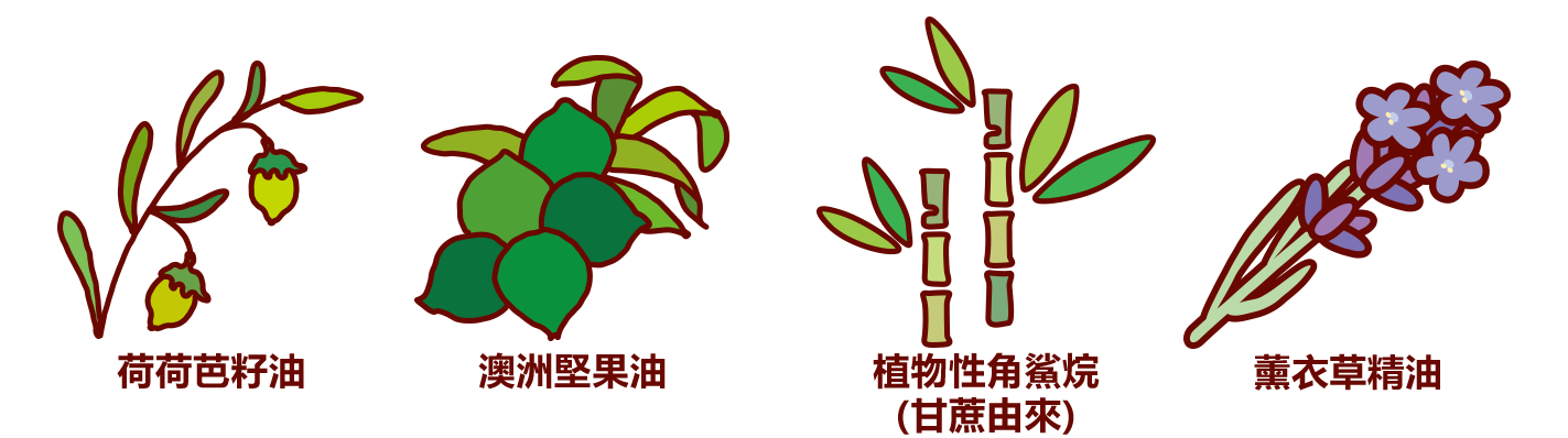 保濕_植物由來