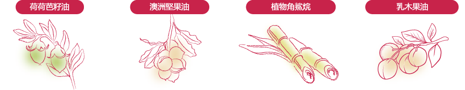 植物由來_孕肚